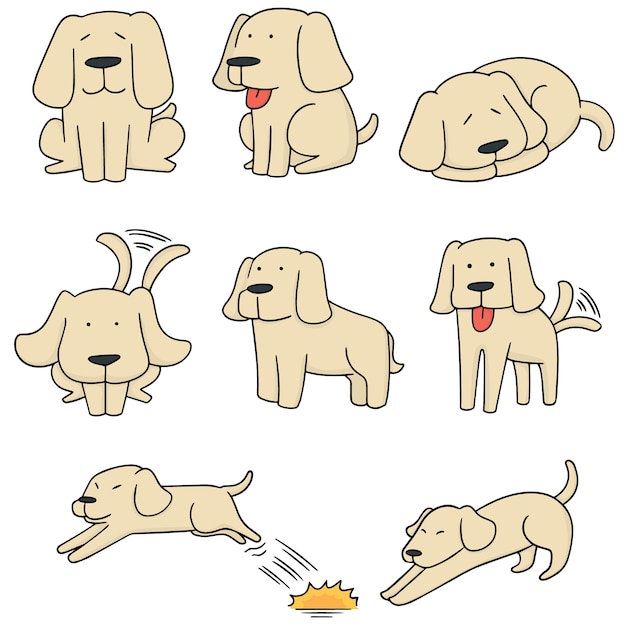 vector set of dog, labrador retriever