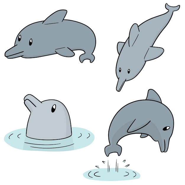 Vector set of dolphin