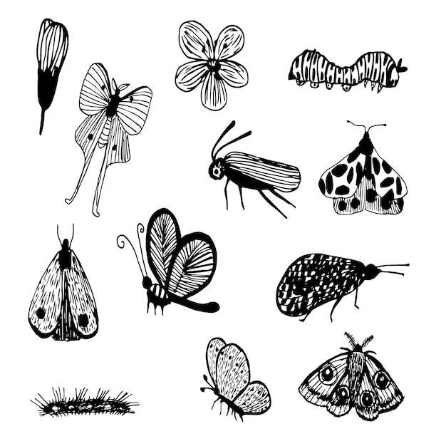 Vector set of doodles insects and butterflies