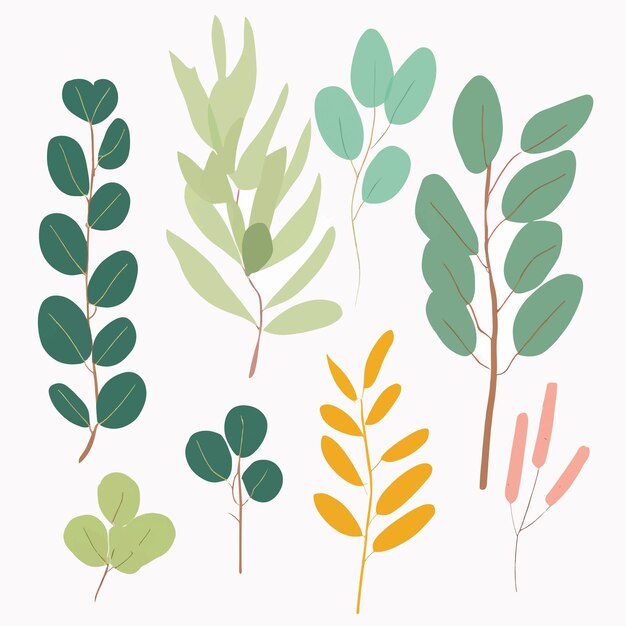 Vector set of eucalyptus