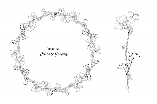 Vector set Fijne bloemen