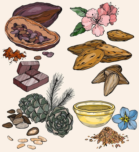 Vector vector set of food and cosmetic care ingredients products for the production of natural oils