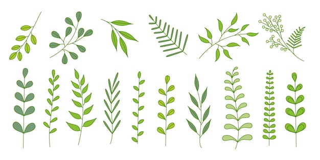 Vector set of green branches
