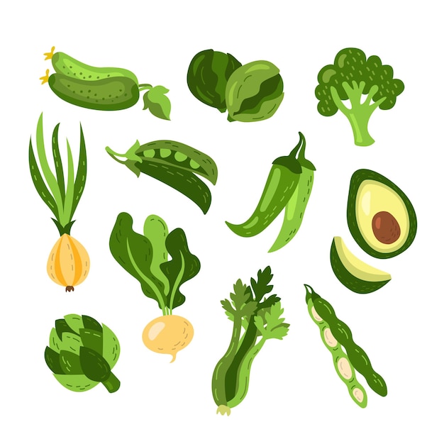 Vector set of green vegetables