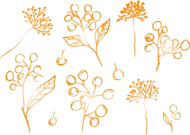 야생 식물 허브와 열매를 황금색의 예술적인 식물 삽화로 그린 손의 벡터 세트