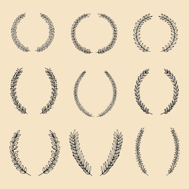 Vector vector set of hand drawn different floral laurels and wreaths