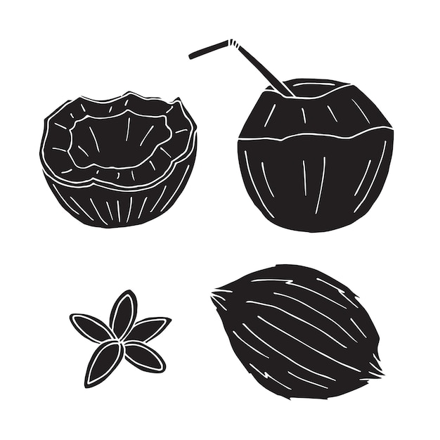 Векторный набор нарисованных вручную каракулей кокосового ореха