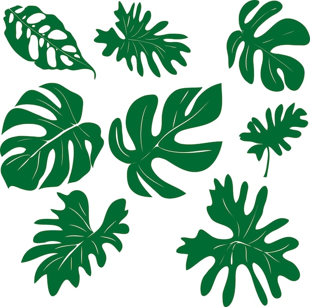 vector set of hand drawn of exotic green leaves