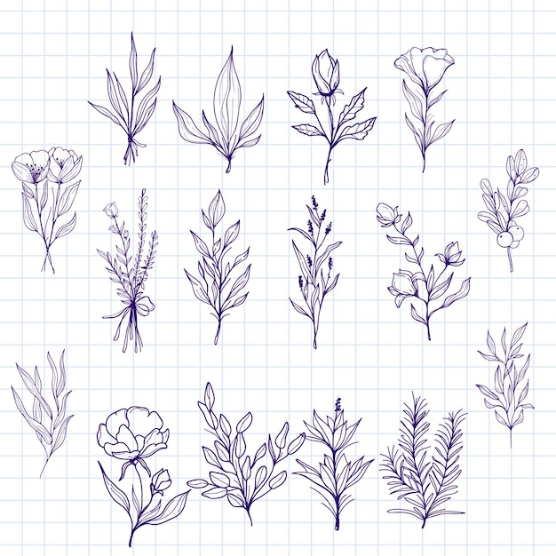 Vector vector set of hand drawn flowers and plants on a notebook page