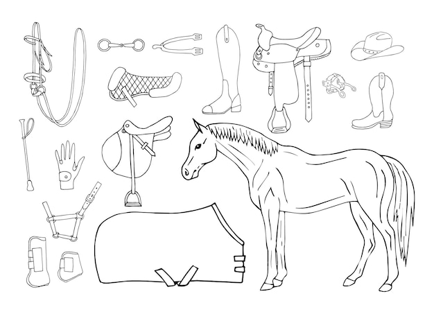 Vector set of hand drawn horse riding equipment