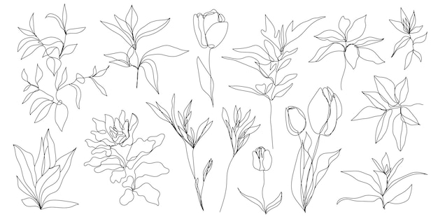 Vector set of hand drawn single continuous line flowers leaves Art floral elements tulips illustrations Use for tshirt prints logos cosmetics and beauty design elements