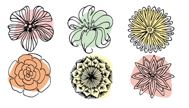 Vector set of hand drawn single continuous line flowers leaves Art floral elements Use for tshirt prints logos cosmetics and beauty design elements