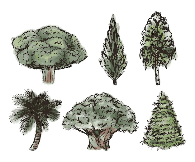 Vettore set vettoriale di schizzi di alberi disegnati a mano con sfondo acquerello colorato collezione di tracciati di contorno