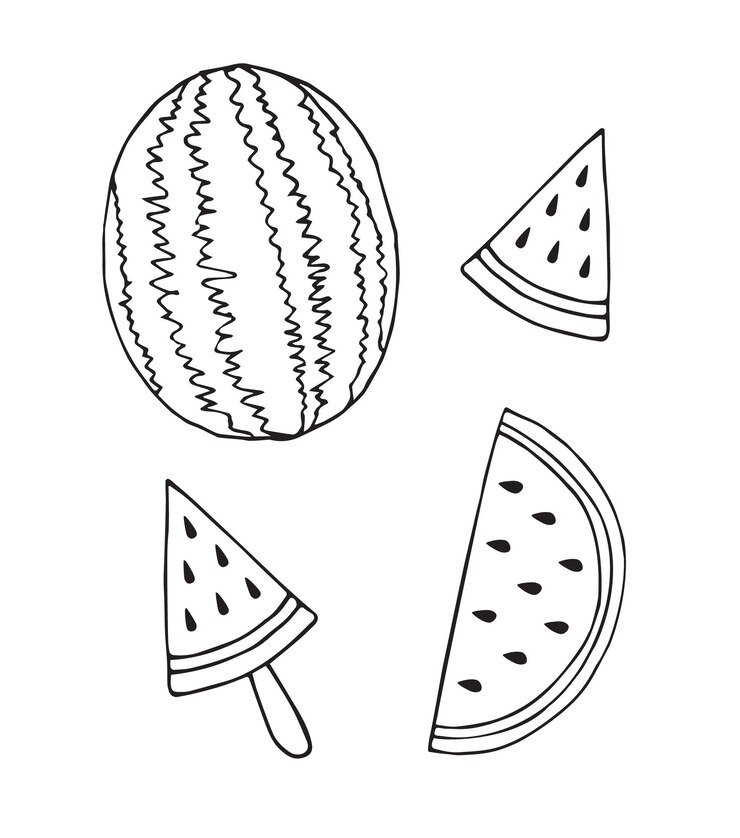 Vector 손으로 그린 수박의 벡터 세트