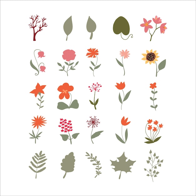 Vector set of herbal different elements Collection of botanical elements for floral compositions greeting cards posters invitations scrapbook web