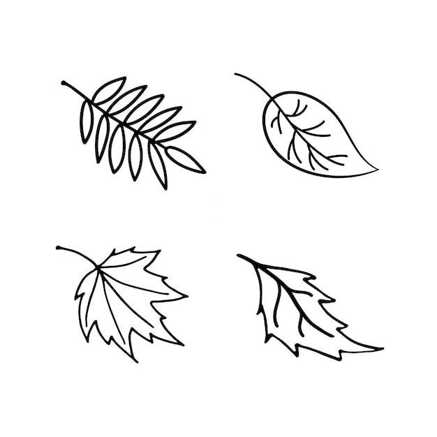 Vector Set herfstbladeren doodle stijl zwart-wit Bladeren van aspen berken esdoorn lijsterbes Hand getekend ontwerp voor natuurlijke en organische ontwerpen pictogram webelementen in doodle stijl