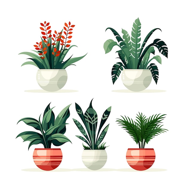 Vector vector set of houseplants indoor plant in modern flowerpot