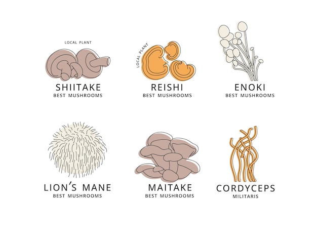 선형 스타일 enok shiitaki maitake cordyceps reishi 및 사자 갈기 버섯 로고 표지판의 아이콘 벡터 세트