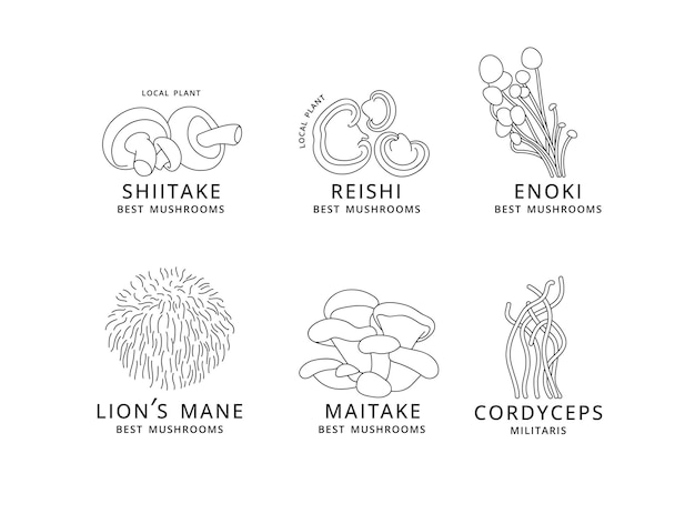 Vector set of icons in linear style enok shiitaki maitake cordyceps reishi and lion's mane mushrooms Logo signs