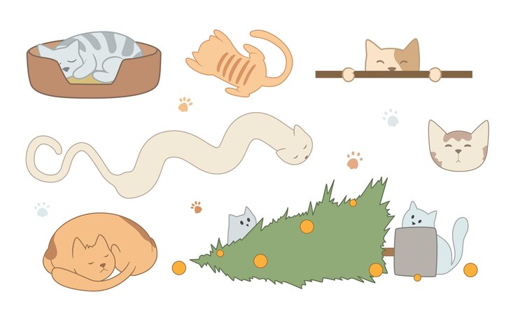 Vector vector set of isolated cats. illustration has animals, fish, cat paws, food, kittens
