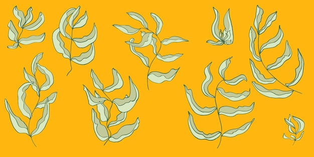 Векторный набор изолированных элементов с листьями Простой векторный рисунок Ручная графика Стильная винтажная иллюстрация Дизайнерские обои ткани почтовая упаковка
