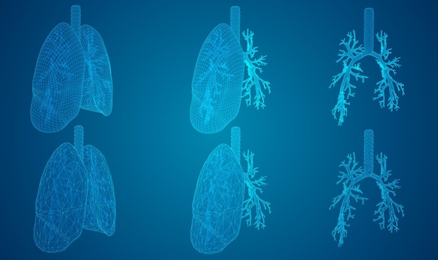 Vector set longen en bronchiën 3D-elementen voor ontwerp