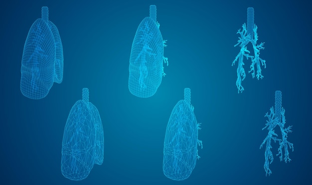 벡터는 디자인을 위한 폐와 기관지 3d 요소를 설정합니다.