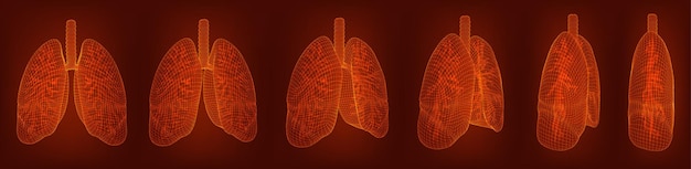 벡터는 디자인을 위한 폐와 기관지 3d 요소를 설정합니다.