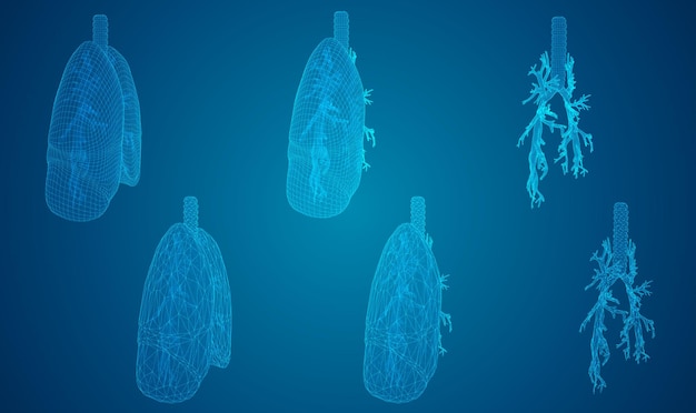 vector set lungs and bronchi 3d elements for design