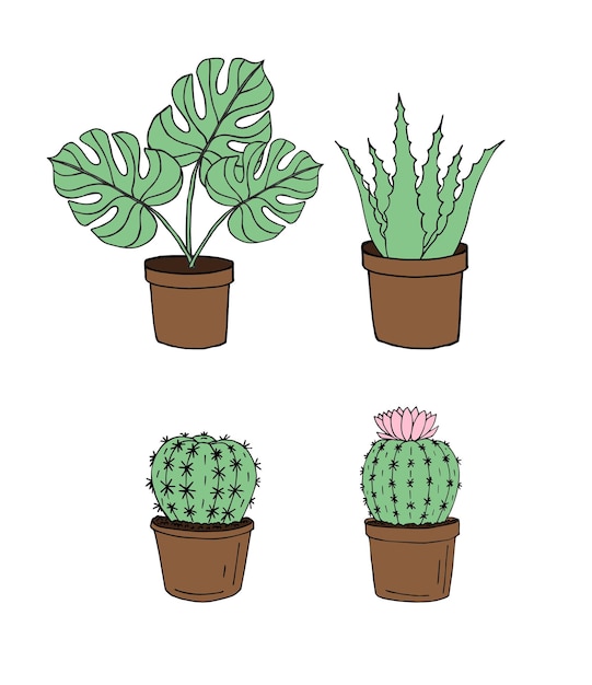 Vector set of monstera plant and cactus in pots