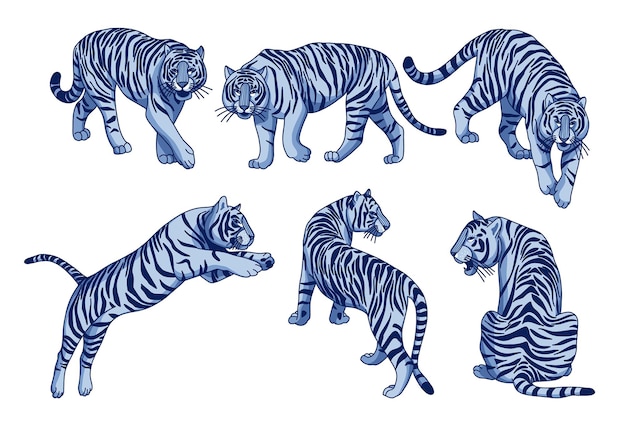 Vector set of navy blue nordic tigers asian wildlife