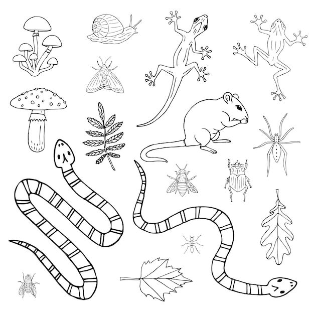 Векторный набор животных, грызунов, рептилий и насекомых