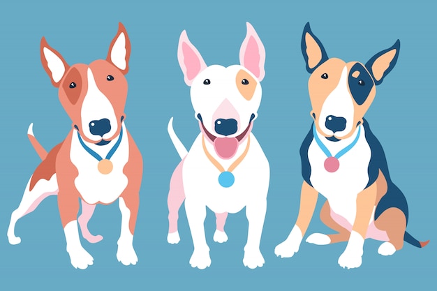 Вектор Векторный набор собак бультерьера разных типичных цветов