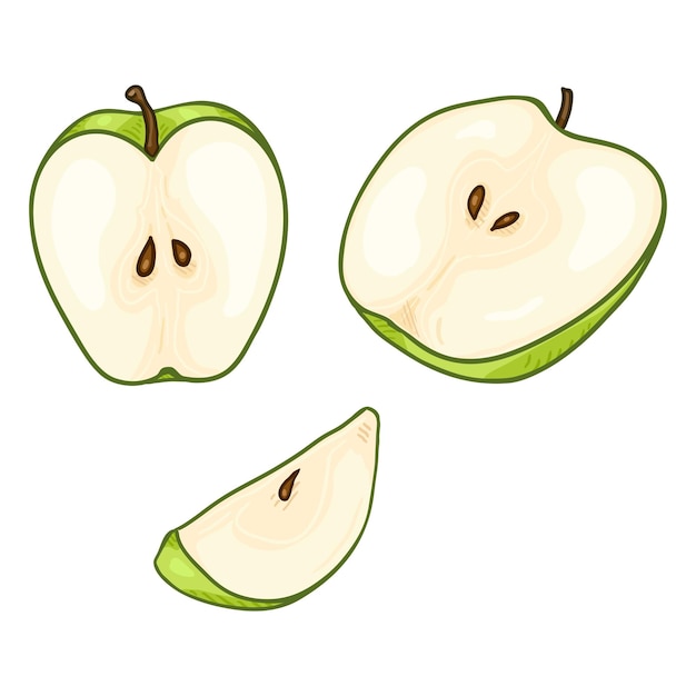 Вектор Векторный набор мультяшных зеленых яблок