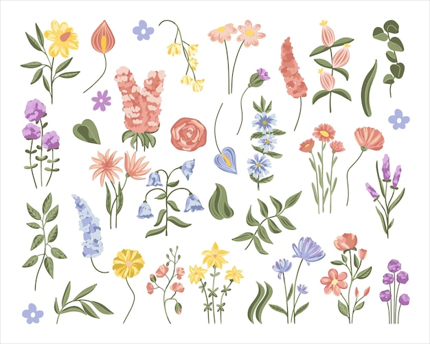 ベクトル 花の葉のベクトルセット ローズベル ラベンダーカモミール 女性の幸福と他の多くの