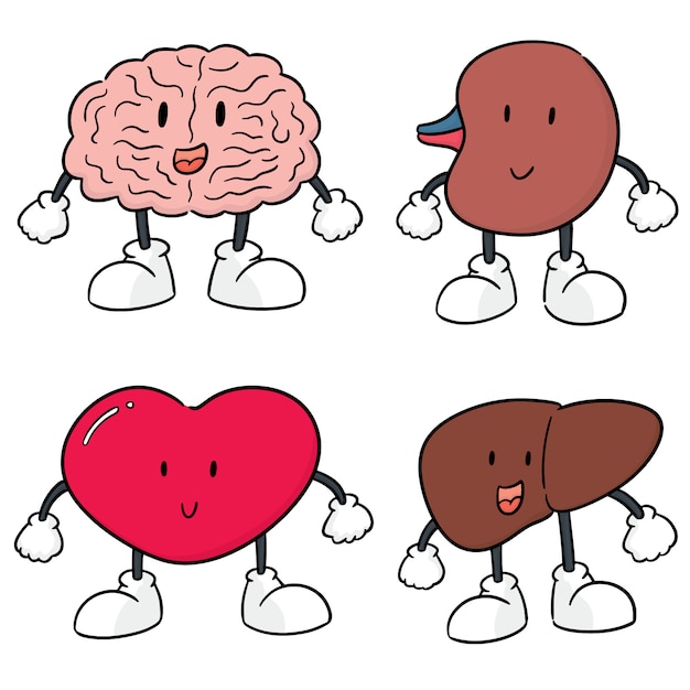 내부 장기 만화 벡터 세트