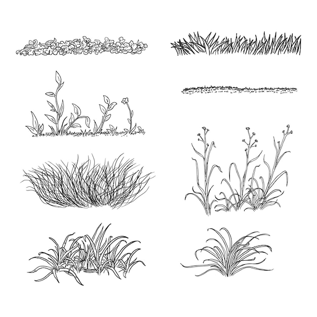 ベクトル 白い背景の草のシルエットのスケッチのベクトルセット 異なる種類の植物