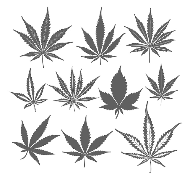 大麻の葉を出発させたベクトル