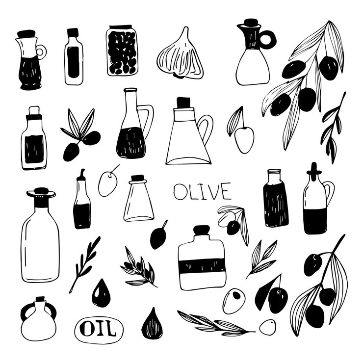 Vector vector set of olive branches and olive oil doodle illustration vegetable oils healthy nutrition