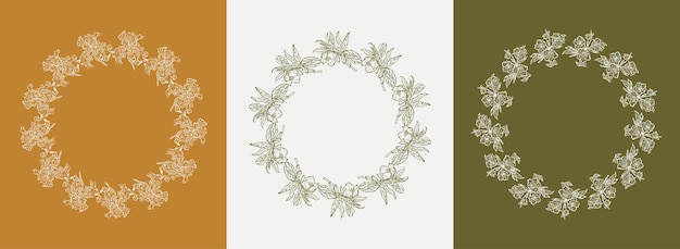 Vector set ontwerpframes en botanische illustraties in eenvoudige lineaire boho-stijl