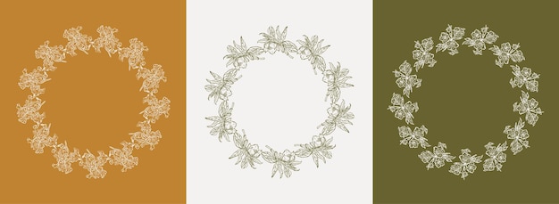 Vector set ontwerpframes en botanische illustraties in eenvoudige lineaire boho-stijl