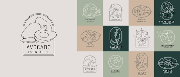 Vector set ontwerpsjablonen en emblemen gezonde en essentiële cosmetica-oliën Verschillende natuurlijke biologische oliën Logo's in trendy lineaire stijl