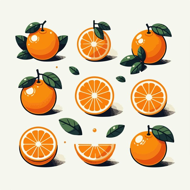 Vector vector set of oranges in flat style