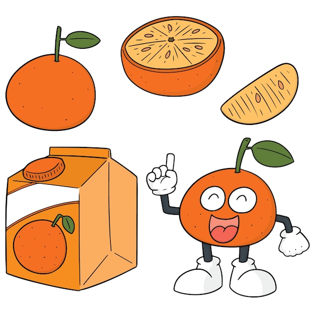 vector set of oranges