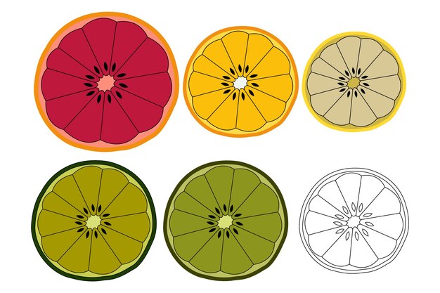 Vector vector set oranje fruit hele helft en gesneden segment illustratie