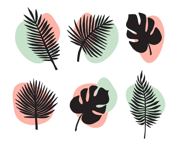 Vector set of palm and monstera leaf silhouette