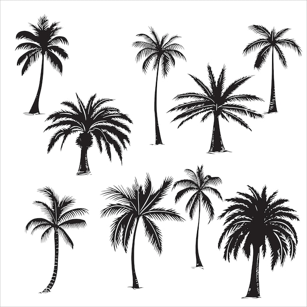 векторный набор силуэтов пальмовых деревьев