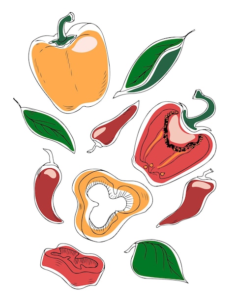 Vector set paprika en chili pepers met bladeren geïsoleerd op een witte achtergrond