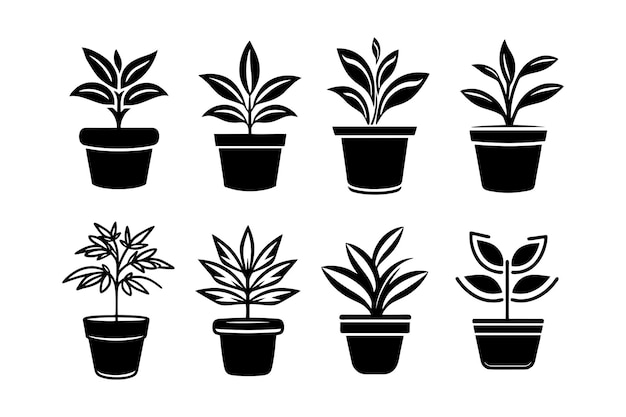 Vector a vector set of plant in pot silhouette illustrations