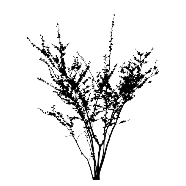 Vector set of plant and tree silhouette